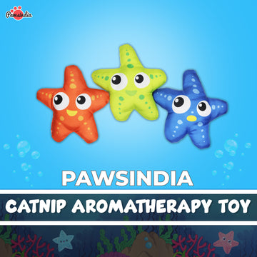 Pawsindia Starfish Cat Nip Toy - Orange